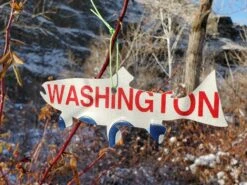 Christmas Tree Ornament // Washington State License Plate Fish Cutouts -Fishing Equipment 20191213 103511 resized