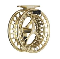 Sage Click Series Fly Reels -Fishing Equipment CLICK Champagne Angle