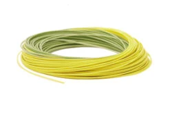 RIO Premier Gold -Fishing Equipment Premier RIOGold Coil Moss Gold