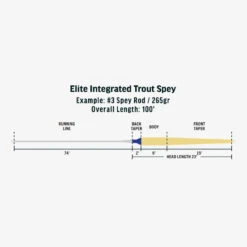 RIO Elite Integrated Trout Spey Line -Fishing Equipment RIOeliteintegratedtroutspeylinediagram