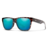 Smith Optics - Lowdown 2 Sunglasses