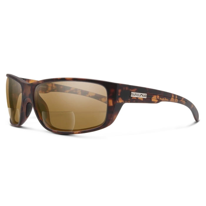 Suncloud Milestone Reader 1 Suncloud Milestone Reader